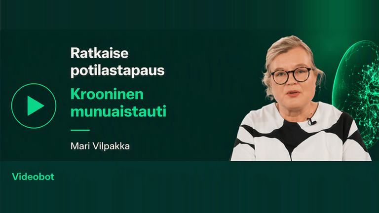 Mari Vilpakka videobot